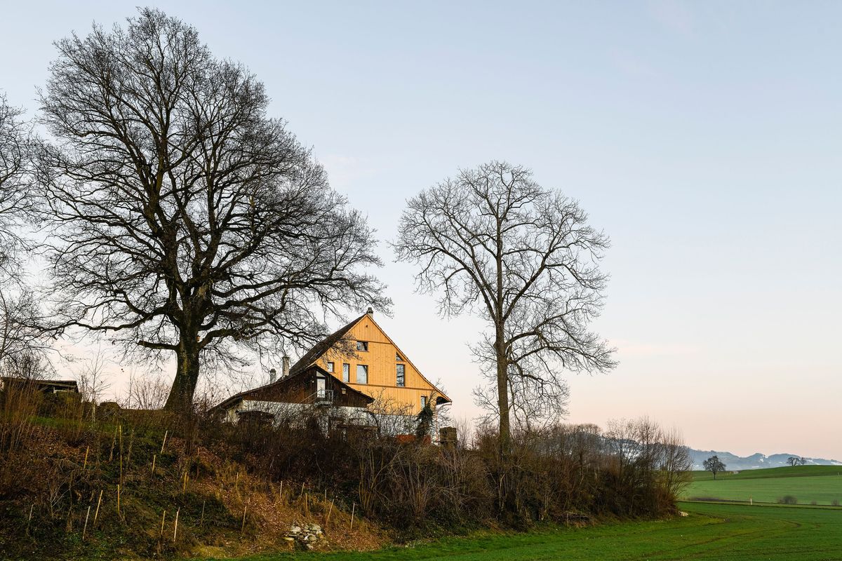 Bauernhaus Bubikon ZH - Massiv-Werk